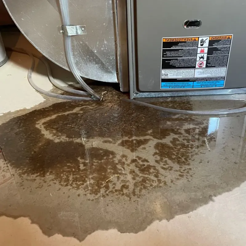 Pipe Burst and Leak Restoration in Fairview Heights, IL