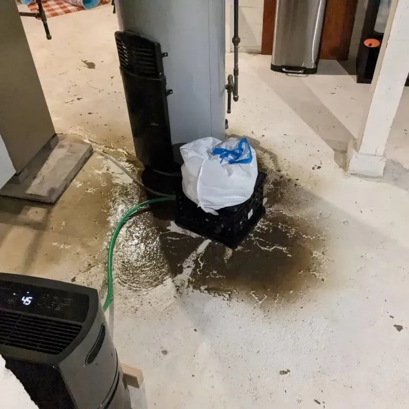 Sewage Backup Cleanup Service in Fairview Heights, IL